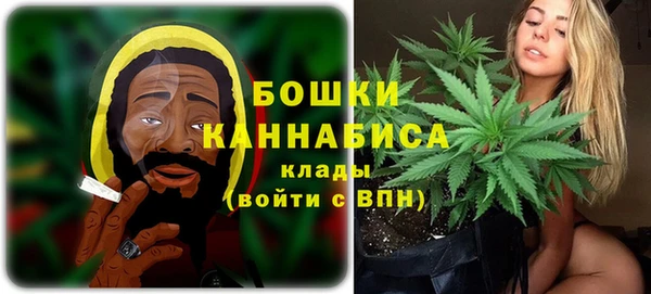 СК Козловка